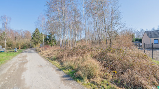 Allée des Sapins - 31G et 31D - - 5600