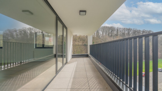 Rue de Sedent - 46 - 41 - 5100