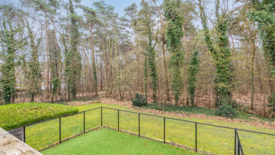 Everselkiezel - 1 - 11 - 3550