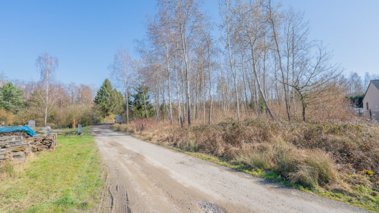 Allée des Sapins - 31G et 31D - - 5600