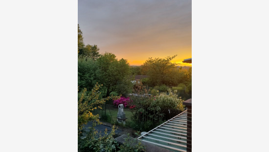 Rue de la Poterie - 46 - - 7100