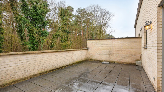 Everselkiezel - 1 - 11 - 3550