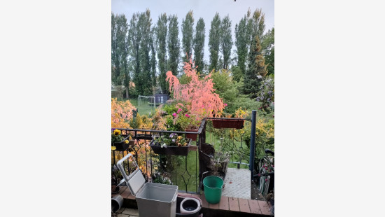 Rue de la Poterie - 46 - - 7100