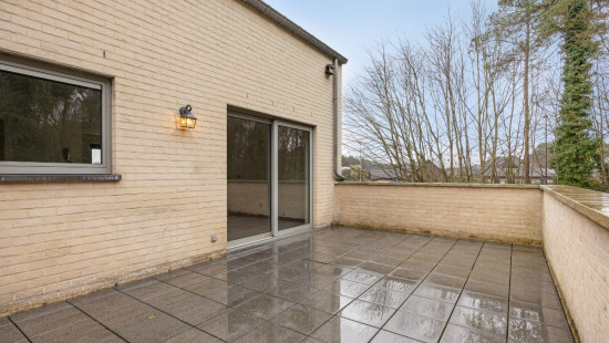 Everselkiezel - 1 - 11 - 3550