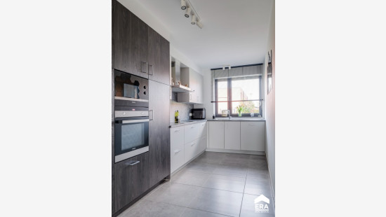 Wortelveldstraat - 18 - - 3900