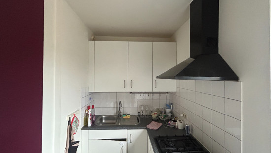 Molsekiezel - 96 - A - 3920