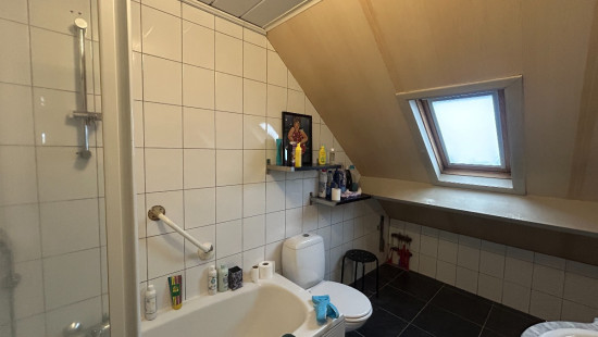 Molsekiezel - 96 - A - 3920