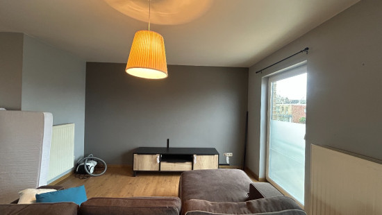 Molsekiezel - 96 - A - 3920