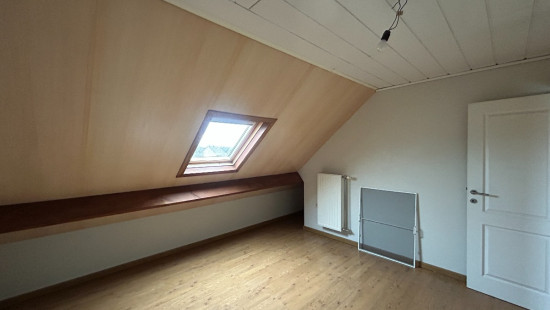 Molsekiezel - 98 - A - 3920