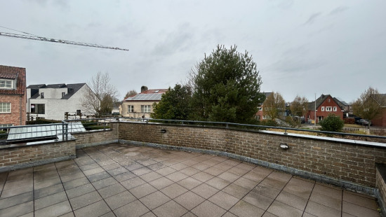 Molsekiezel - 98 - A - 3920