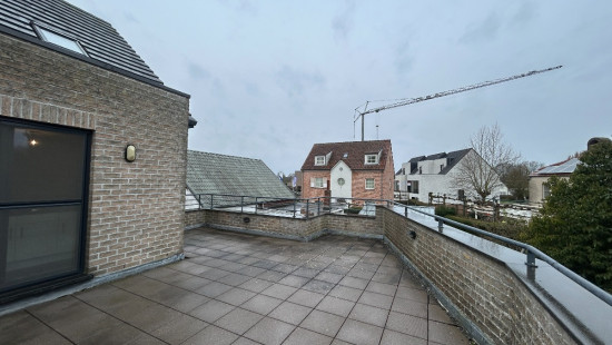 Molsekiezel - 98 - A - 3920