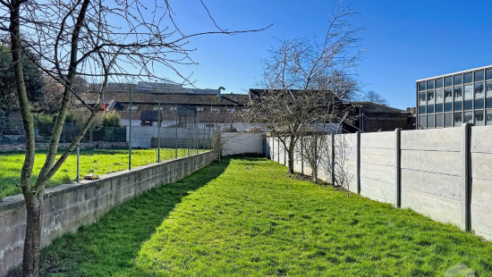 Rue Draily - 56 - - 6000