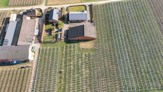 Groenstraat - 9 - - 3472