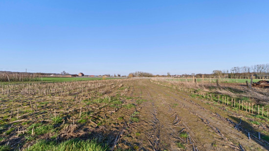 Groenstraat - 9 - - 3472