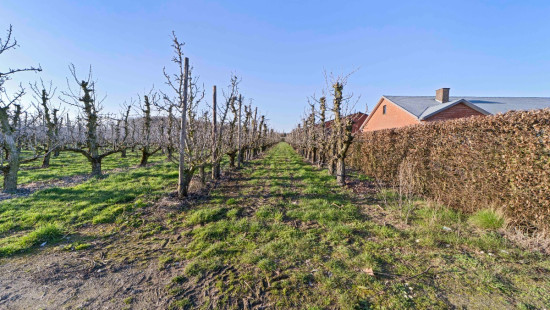 Groenstraat - 9 - - 3472