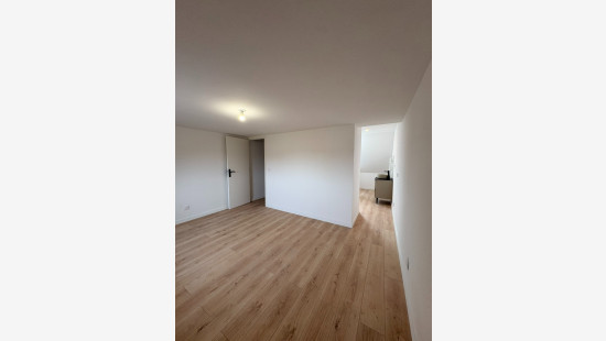 Ieperstraat - 338 - - 8930