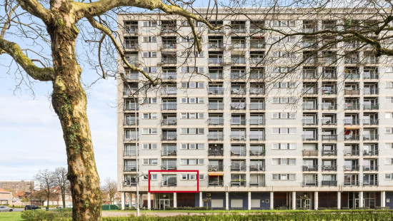 Halewijnlaan - 51 - 1 - 2050