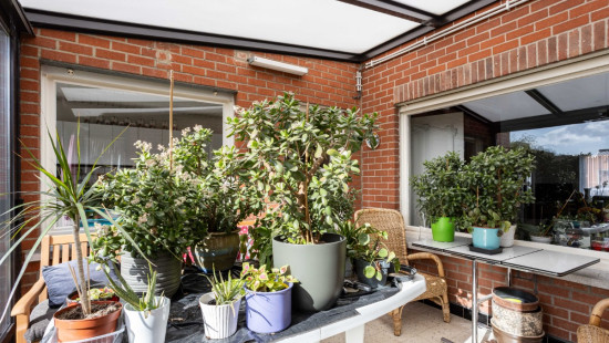 Rozenstraat - 11 - - 8552