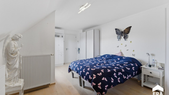 Paardenmarkt - 14 - c001 - 8970