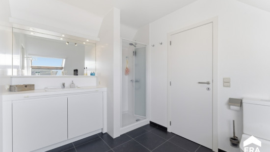 Paardenmarkt - 14 - c001 - 8970