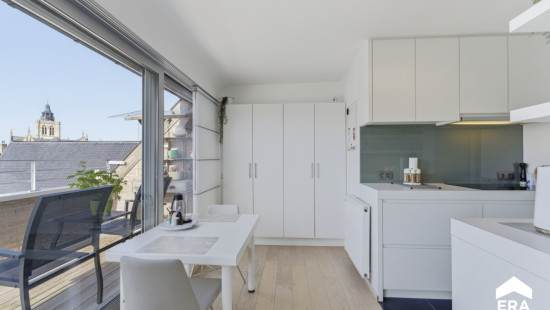 Paardenmarkt - 14 - c001 - 8970