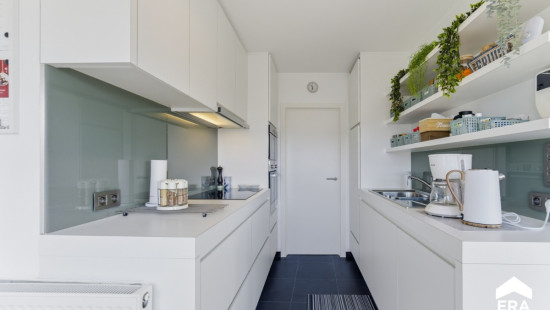 Paardenmarkt - 14 - c001 - 8970