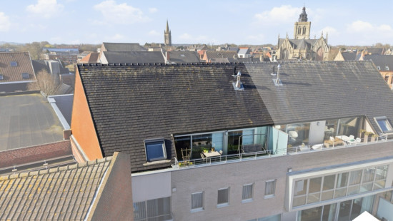 Paardenmarkt - 14 - c001 - 8970