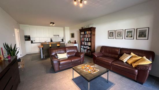 Lindendreef - 62 G - Bus 2 - 2320