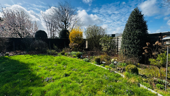 Wervikstraat - 213 - - 8930