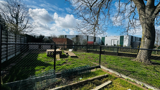 Wervikstraat - 213 - - 8930