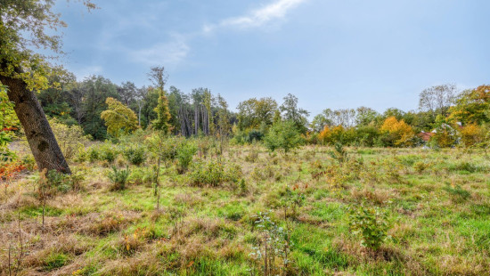 Wijnstraat - 11 - - 3290