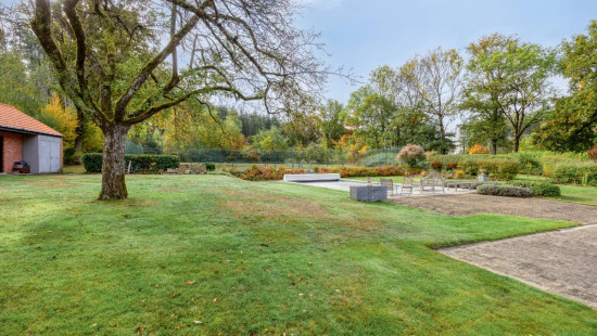 Wijnstraat - 11 - - 3290