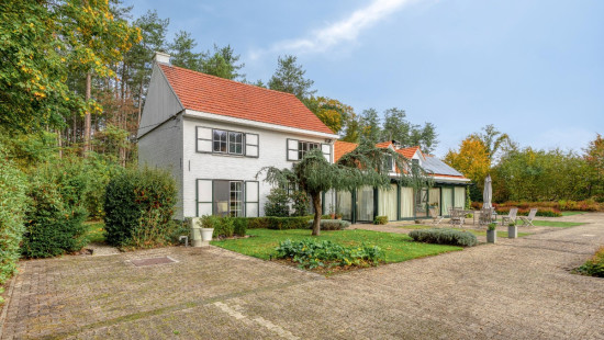 Wijnstraat - 11 - - 3290