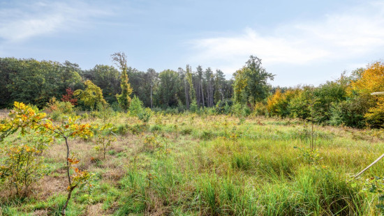 Wijnstraat - 11 - - 3290