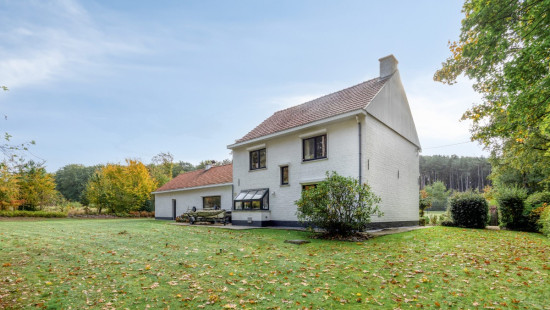 Wijnstraat - 11 - - 3290