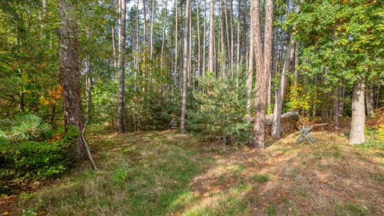 Wijnstraat - 11 - - 3290