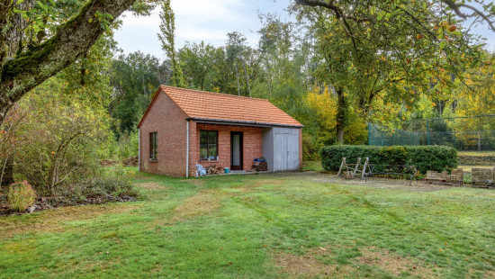 Wijnstraat - 11 - - 3290