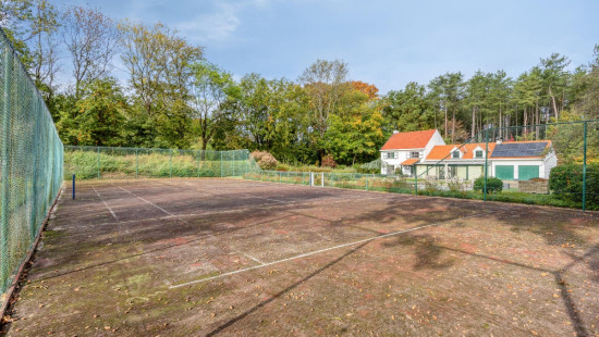 Wijnstraat - 11 - - 3290