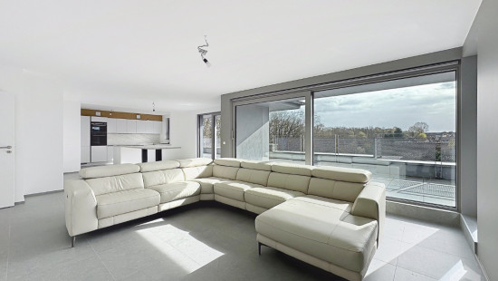 Chaussee de Nivelles - 222 - D31 - D31 - 1420