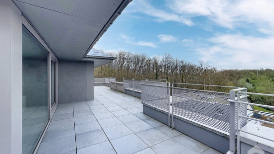 Chaussee de Nivelles - 222 - D31 - D31 - 1420