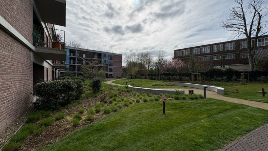 Achter de Hoven - 29 - 14 - 3520