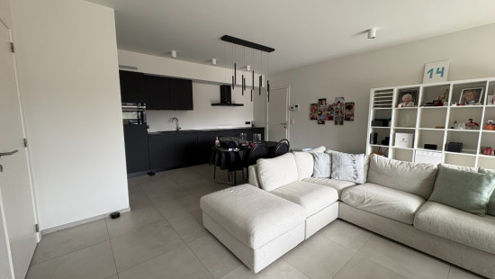 Achter de Hoven - 29 - 14 - 3520