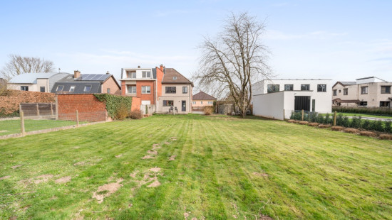 Witloofstraat - 25 - - 3070