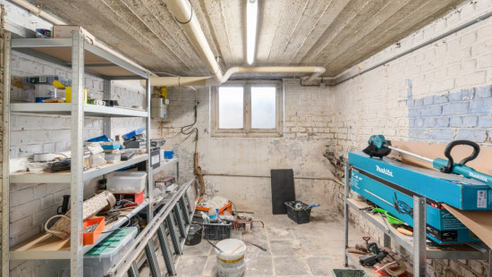 Witloofstraat - 25 - - 3070