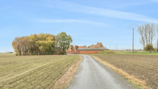 Wulpendammestraat - 4 - - 8670