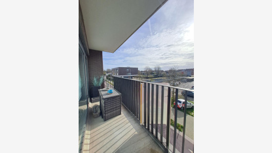 Ballingenweg - 52 - 202 - 8530