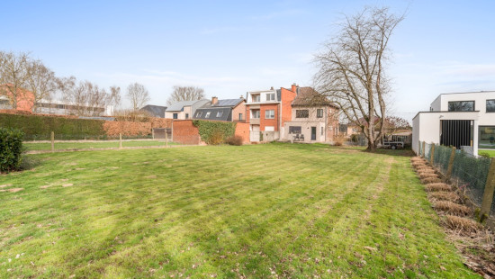 Witloofstraat - 25 - - 3070