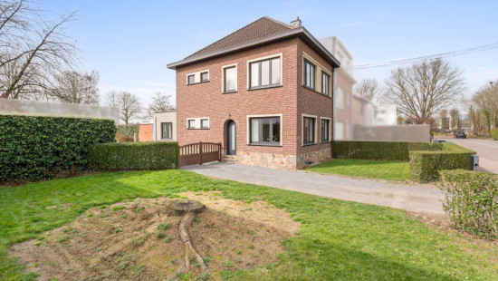 Witloofstraat - 25 - - 3070