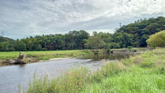 Tier de Rinze - 37 - 165 - 6940