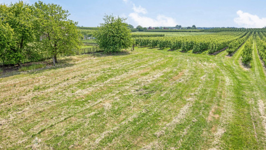 Tiensestraat - 66 - - 3470